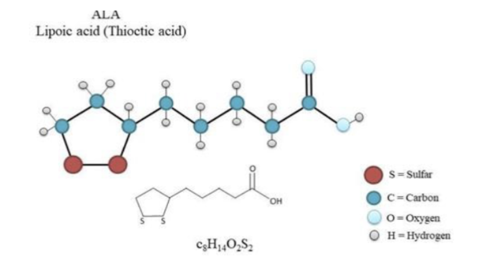 Molecular structure of alpha lipoic acid